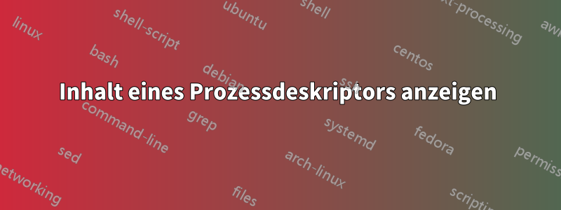 Inhalt eines Prozessdeskriptors anzeigen