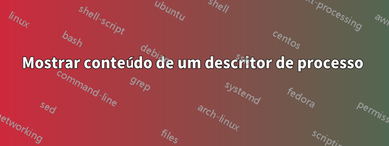 Mostrar conteúdo de um descritor de processo