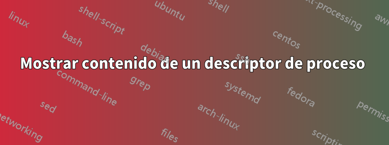 Mostrar contenido de un descriptor de proceso