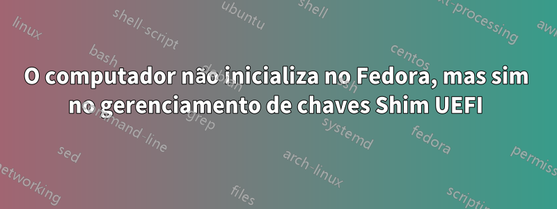 O computador não inicializa no Fedora, mas sim no gerenciamento de chaves Shim UEFI