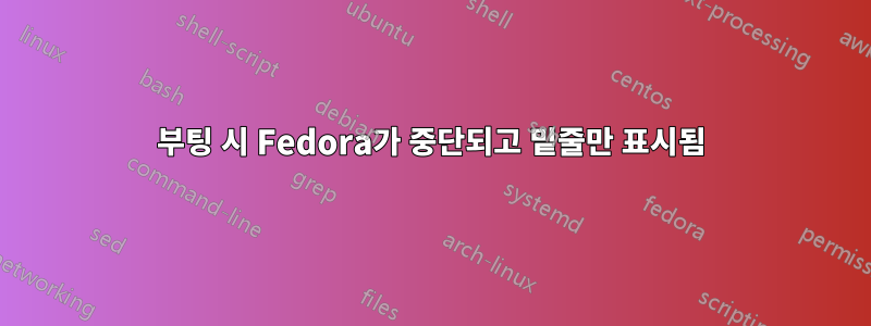 부팅 시 Fedora가 중단되고 밑줄만 표시됨