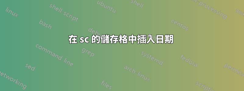 在 sc 的儲存格中插入日期