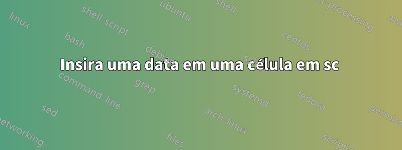 Insira uma data em uma célula em sc