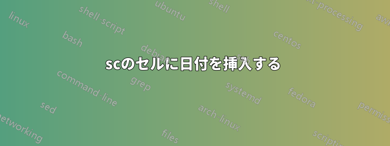 scのセルに日付を挿入する