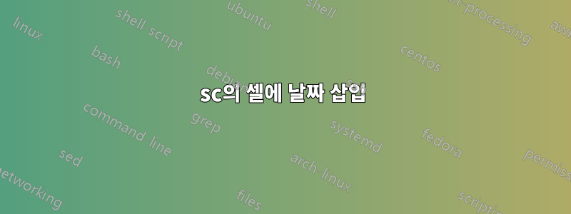 sc의 셀에 날짜 삽입