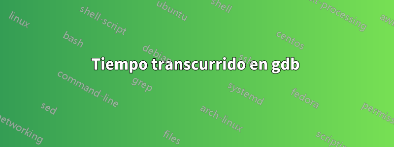 Tiempo transcurrido en gdb