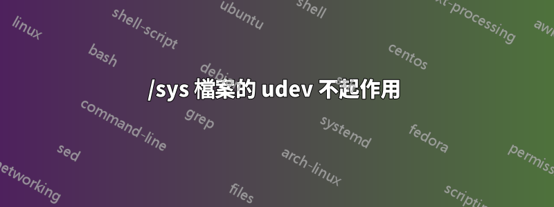 /sys 檔案的 udev 不起作用