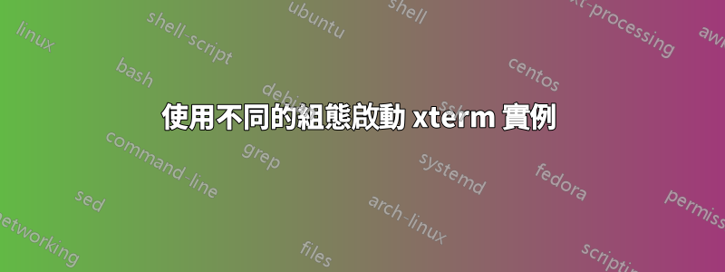 使用不同的組態啟動 xterm 實例