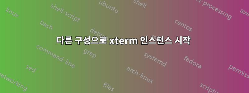 다른 구성으로 xterm 인스턴스 시작