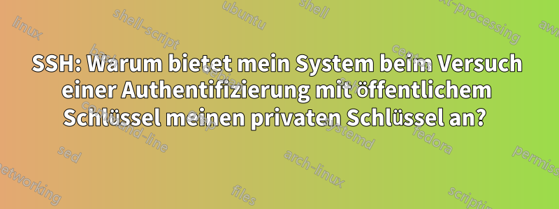 SSH: Warum bietet mein System beim Versuch einer Authentifizierung mit öffentlichem Schlüssel meinen privaten Schlüssel an? 