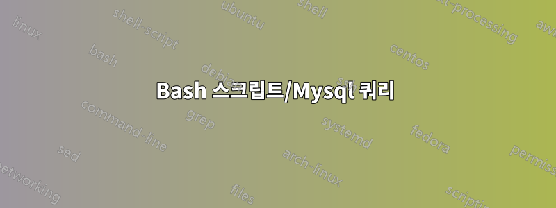 Bash 스크립트/Mysql 쿼리