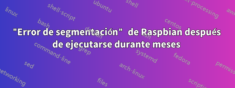 "Error de segmentación" de Raspbian después de ejecutarse durante meses