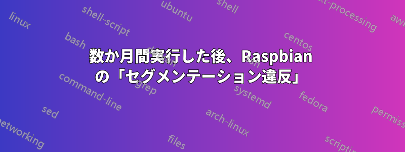 数か月間実行した後、Raspbian の「セグメンテーション違反」