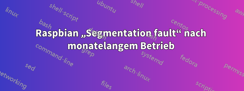 Raspbian „Segmentation fault“ nach monatelangem Betrieb