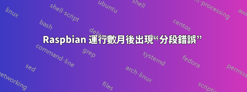 Raspbian 運行數月後出現“分段錯誤”