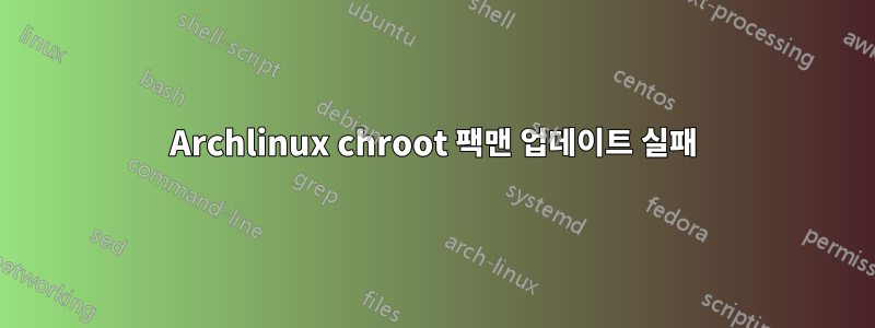 Archlinux chroot 팩맨 업데이트 실패