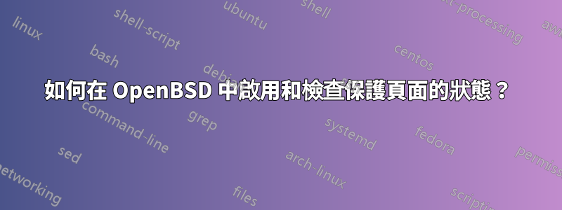 如何在 OpenBSD 中啟用和檢查保護頁面的狀態？