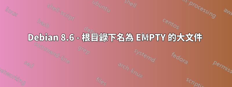 Debian 8.6 - 根目錄下名為 EMPTY 的大文件