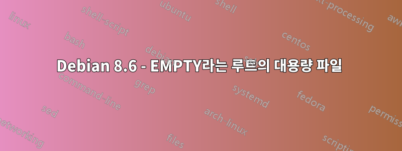 Debian 8.6 - EMPTY라는 루트의 대용량 파일