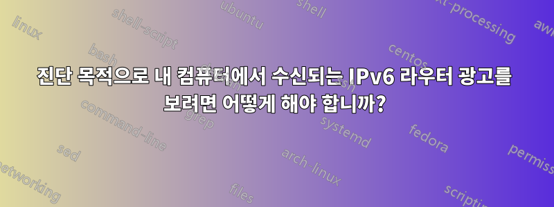 진단 목적으로 내 컴퓨터에서 수신되는 IPv6 라우터 광고를 보려면 어떻게 해야 합니까?