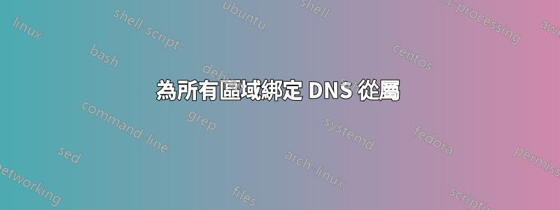 為所有區域綁定 DNS 從屬