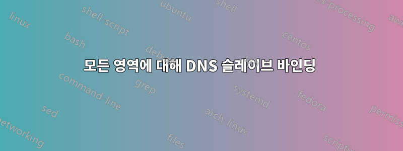 모든 영역에 대해 DNS 슬레이브 바인딩