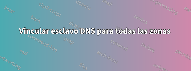 Vincular esclavo DNS para todas las zonas