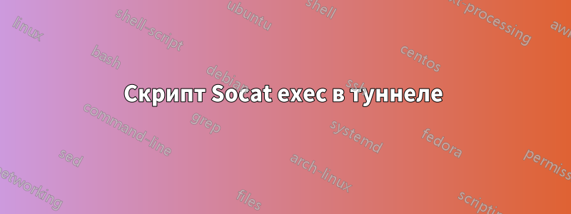 Скрипт Socat exec в туннеле