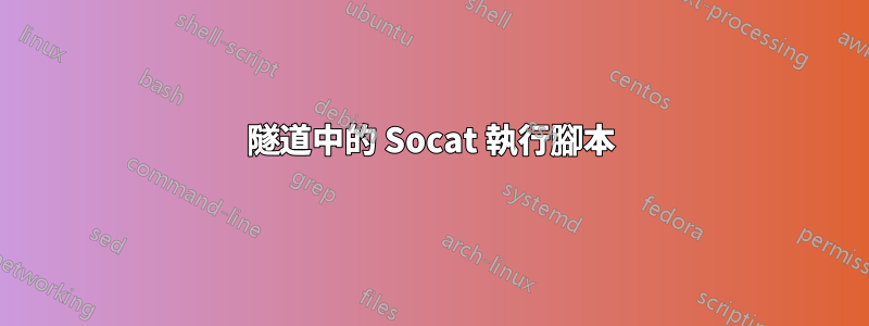 隧道中的 Socat 執行腳本