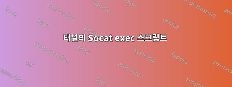 터널의 Socat exec 스크립트