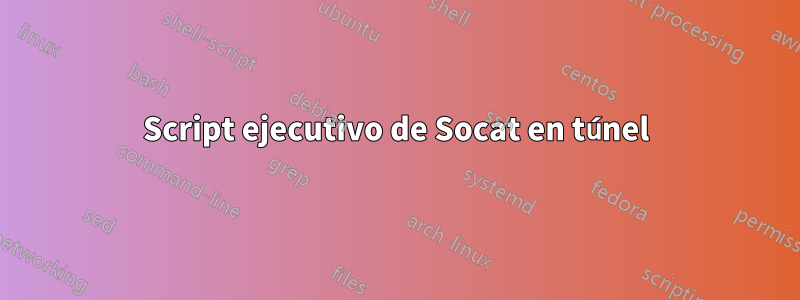 Script ejecutivo de Socat en túnel