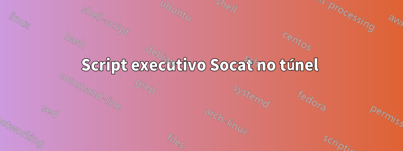 Script executivo Socat no túnel