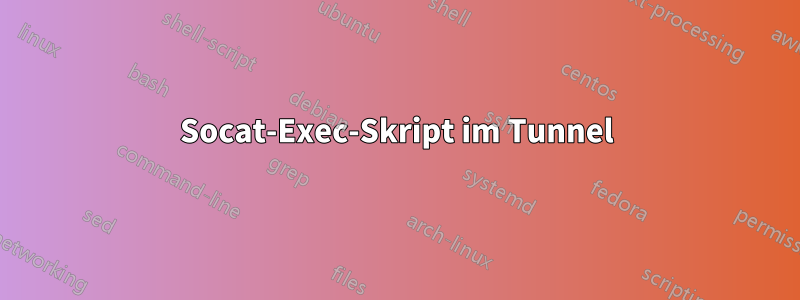 Socat-Exec-Skript im Tunnel