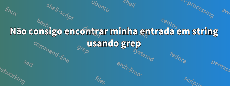 Não consigo encontrar minha entrada em string usando grep