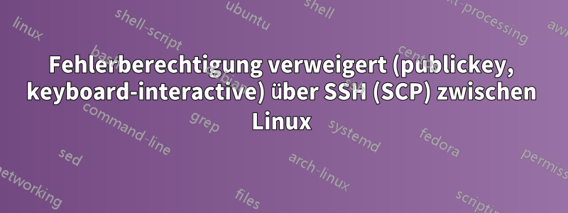 Fehlerberechtigung verweigert (publickey, keyboard-interactive) über SSH (SCP) zwischen Linux