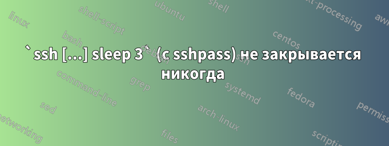 `ssh [...] sleep 3` (с sshpass) не закрывается никогда