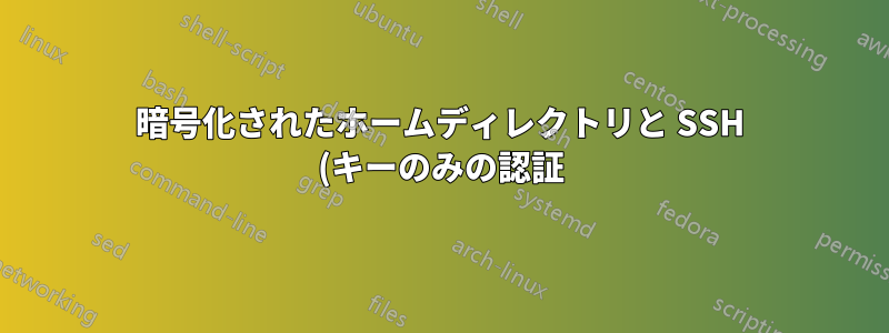暗号化されたホームディレクトリと SSH (キーのみの認証) により X11 転送が中断される