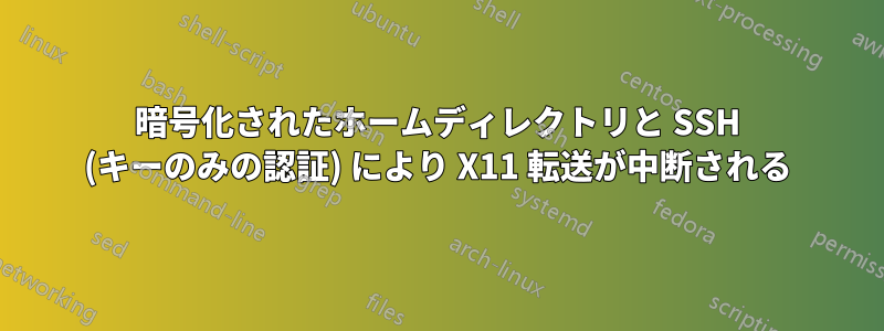 暗号化されたホームディレクトリと SSH (キーのみの認証) により X11 転送が中断される