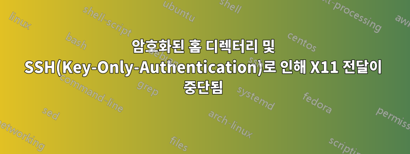 암호화된 홈 디렉터리 및 SSH(Key-Only-Authentication)로 인해 X11 전달이 중단됨