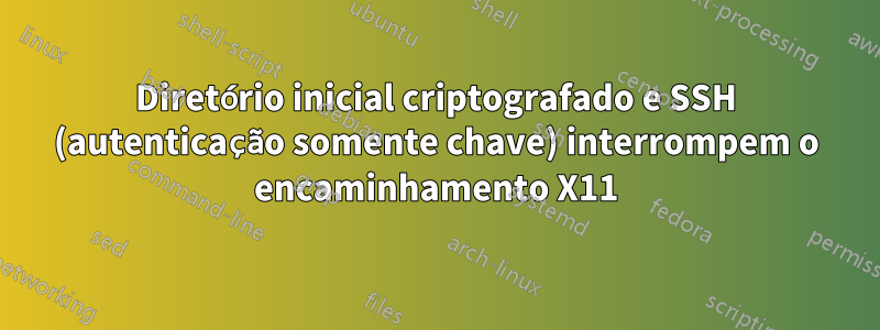 Diretório inicial criptografado e SSH (autenticação somente chave) interrompem o encaminhamento X11