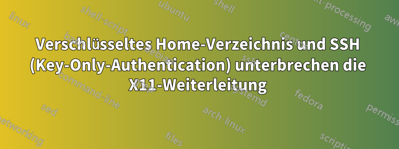 Verschlüsseltes Home-Verzeichnis und SSH (Key-Only-Authentication) unterbrechen die X11-Weiterleitung