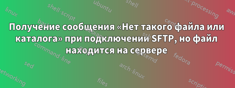 Получение сообщения «Нет такого файла или каталога» при подключении SFTP, но файл находится на сервере