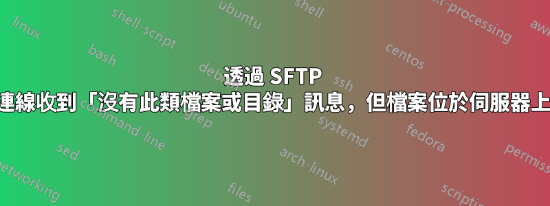 透過 SFTP 連線收到「沒​​有此類檔案或目錄」訊息，但檔案位於伺服器上