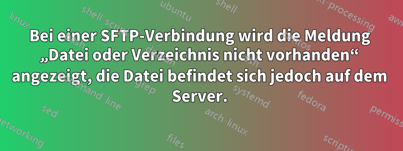 Bei einer SFTP-Verbindung wird die Meldung „Datei oder Verzeichnis nicht vorhanden“ angezeigt, die Datei befindet sich jedoch auf dem Server.