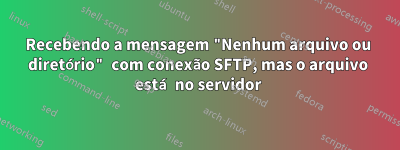 Recebendo a mensagem "Nenhum arquivo ou diretório" com conexão SFTP, mas o arquivo está no servidor