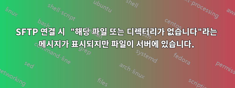 SFTP 연결 시 "해당 파일 또는 디렉터리가 없습니다"라는 메시지가 표시되지만 파일이 서버에 있습니다.