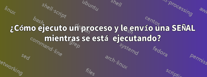 ¿Cómo ejecuto un proceso y le envío una SEÑAL mientras se está ejecutando?