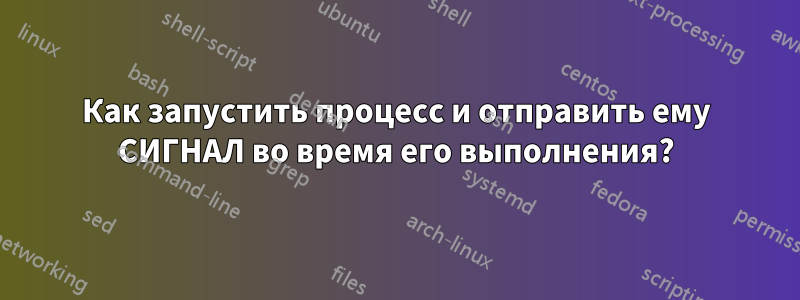 Как запустить процесс и отправить ему СИГНАЛ во время его выполнения?