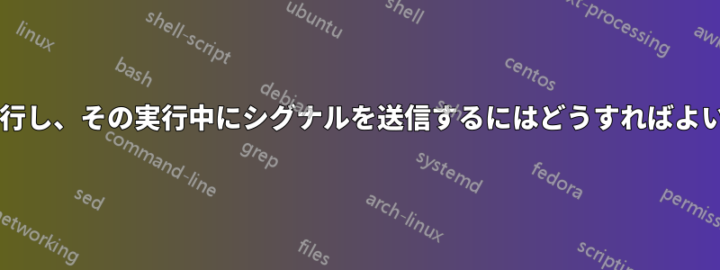 プロセスを実行し、その実行中にシグナルを送信するにはどうすればよいでしょうか?