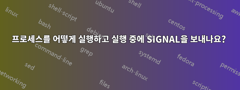 프로세스를 어떻게 실행하고 실행 중에 SIGNAL을 보내나요?